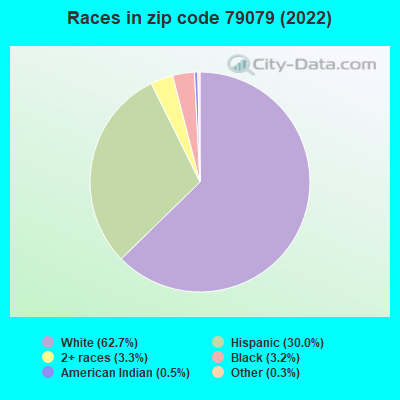 Races in zip code 79079 (2022)