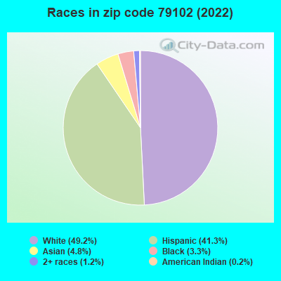 Races in zip code 79102 (2022)