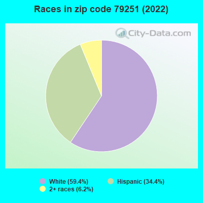 Races in zip code 79251 (2022)