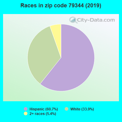 Races in zip code 79344 (2019)