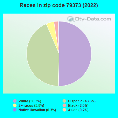 Races in zip code 79373 (2022)