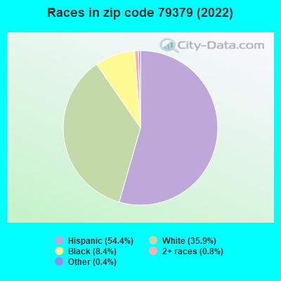 Races in zip code 79379 (2022)