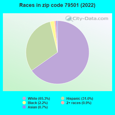 Races in zip code 79501 (2022)