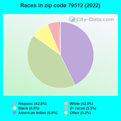 Races in zip code 79512 (2022)