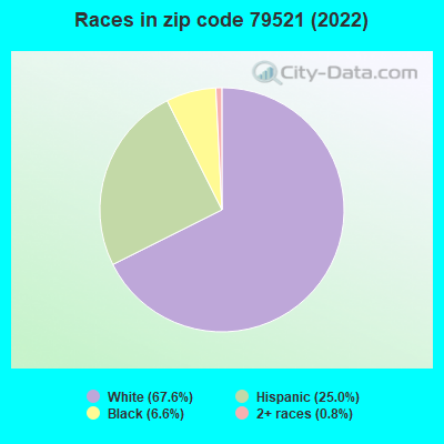 Races in zip code 79521 (2022)