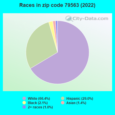 Races in zip code 79563 (2022)