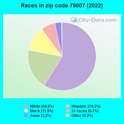 Races in zip code 79607 (2022)
