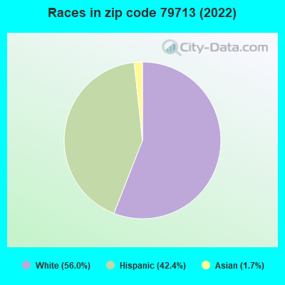 Races in zip code 79713 (2022)