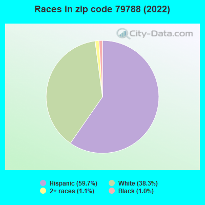 Races in zip code 79788 (2022)
