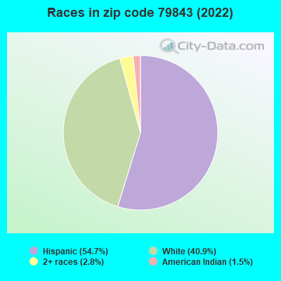 Races in zip code 79843 (2022)