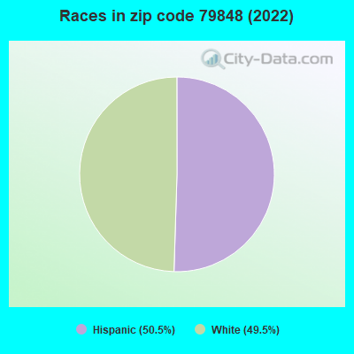 Races in zip code 79848 (2022)