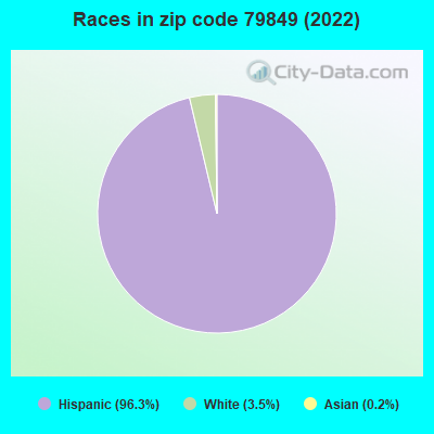 Races in zip code 79849 (2022)