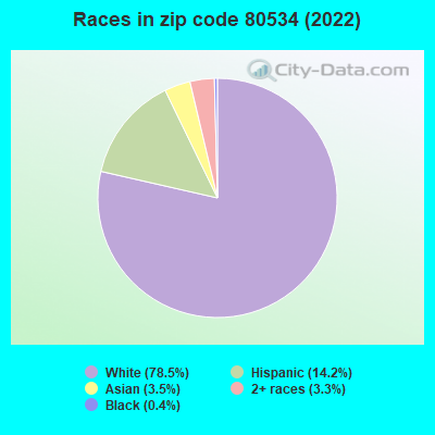 Races in zip code 80534 (2022)