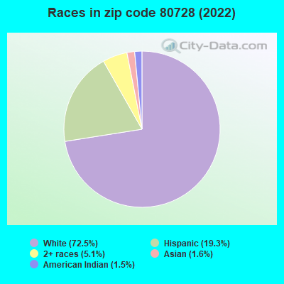Races in zip code 80728 (2022)