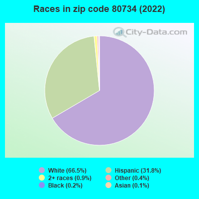 Races in zip code 80734 (2022)