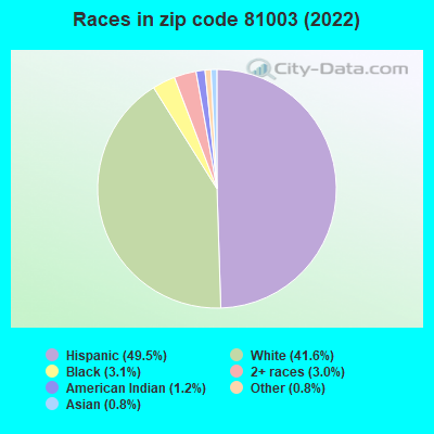 Races in zip code 81003 (2022)