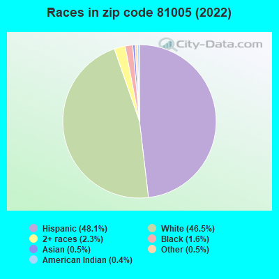 Races in zip code 81005 (2022)