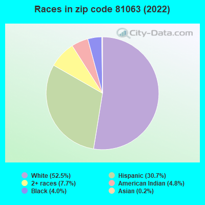 Races in zip code 81063 (2022)