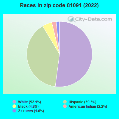 Races in zip code 81091 (2022)