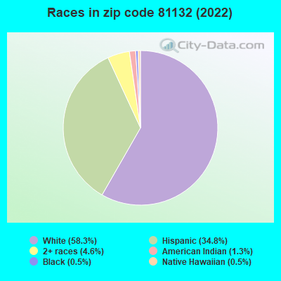 Races in zip code 81132 (2022)