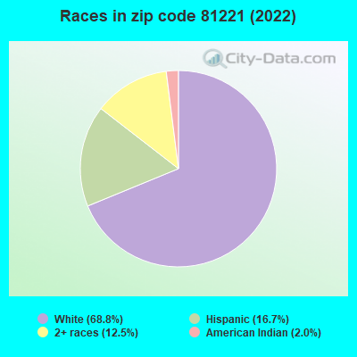 Races in zip code 81221 (2022)