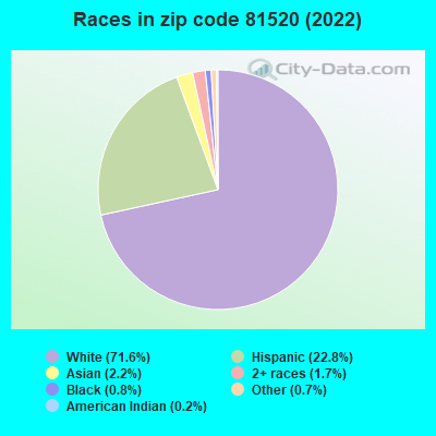 Races in zip code 81520 (2022)