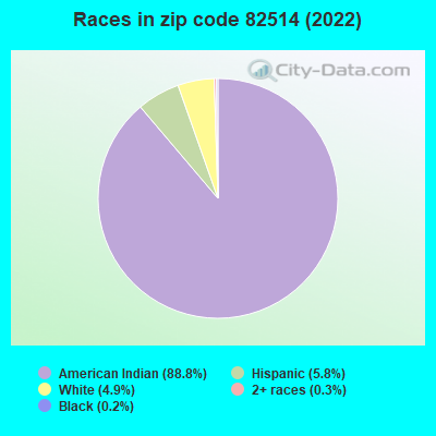 Races in zip code 82514 (2022)