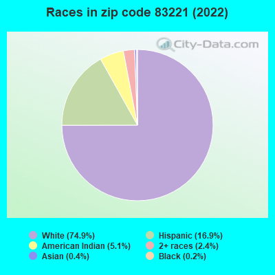 Races in zip code 83221 (2022)