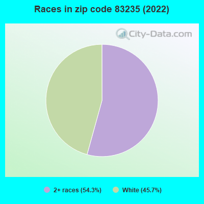 Races in zip code 83235 (2022)