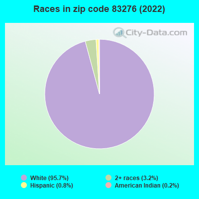 Races in zip code 83276 (2022)