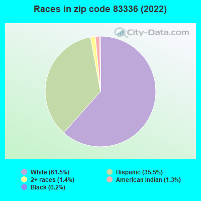 Races in zip code 83336 (2022)