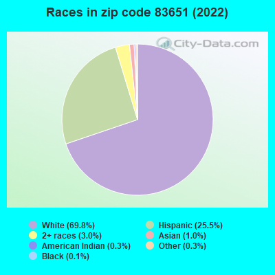 Races in zip code 83651 (2022)