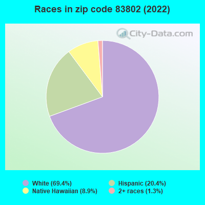 Races in zip code 83802 (2022)