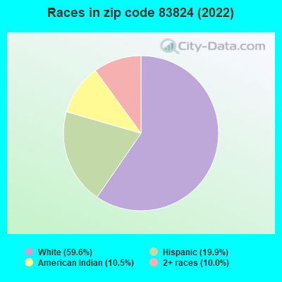 Races in zip code 83824 (2022)