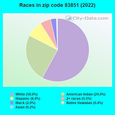 Races in zip code 83851 (2022)