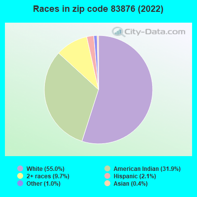 Races in zip code 83876 (2022)
