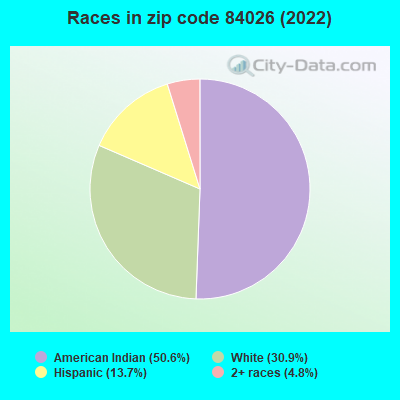 Races in zip code 84026 (2022)