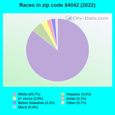Races in zip code 84042 (2022)