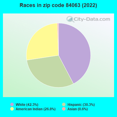 Races in zip code 84063 (2022)