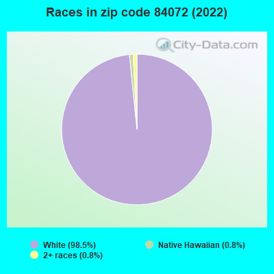 Races in zip code 84072 (2022)