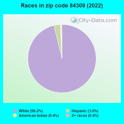 Races in zip code 84309 (2022)