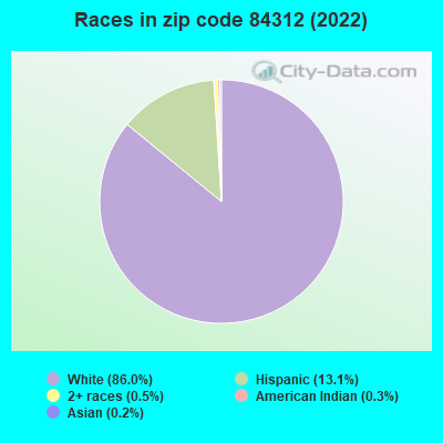 Races in zip code 84312 (2022)