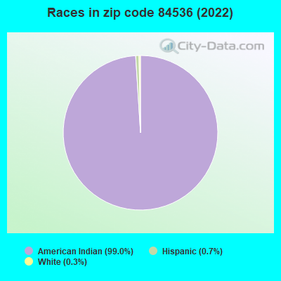 Races in zip code 84536 (2022)
