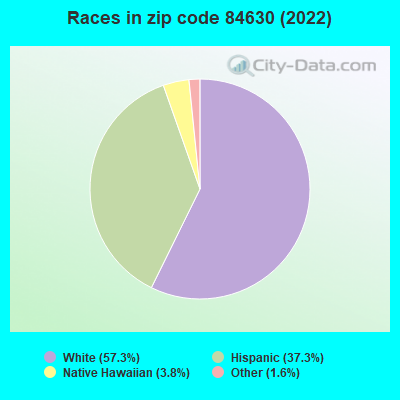 Races in zip code 84630 (2022)