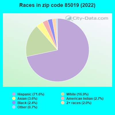 Races in zip code 85019 (2022)