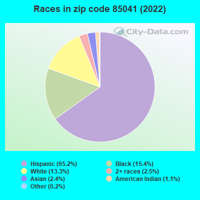 Races in zip code 85041 (2022)
