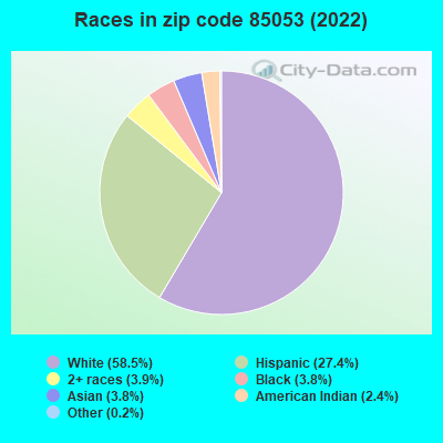 Races in zip code 85053 (2022)