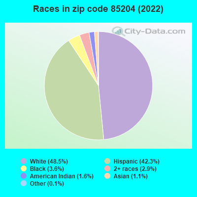 Races in zip code 85204 (2022)