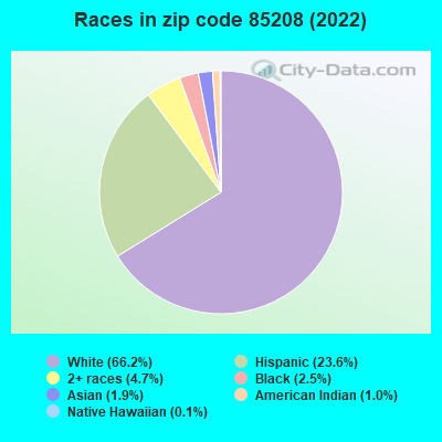 Races in zip code 85208 (2022)