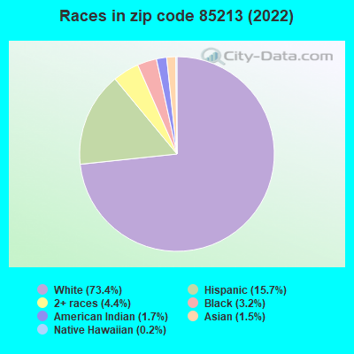 Races in zip code 85213 (2022)